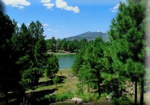 Country Club and Lakeside Acres Luxury Homes