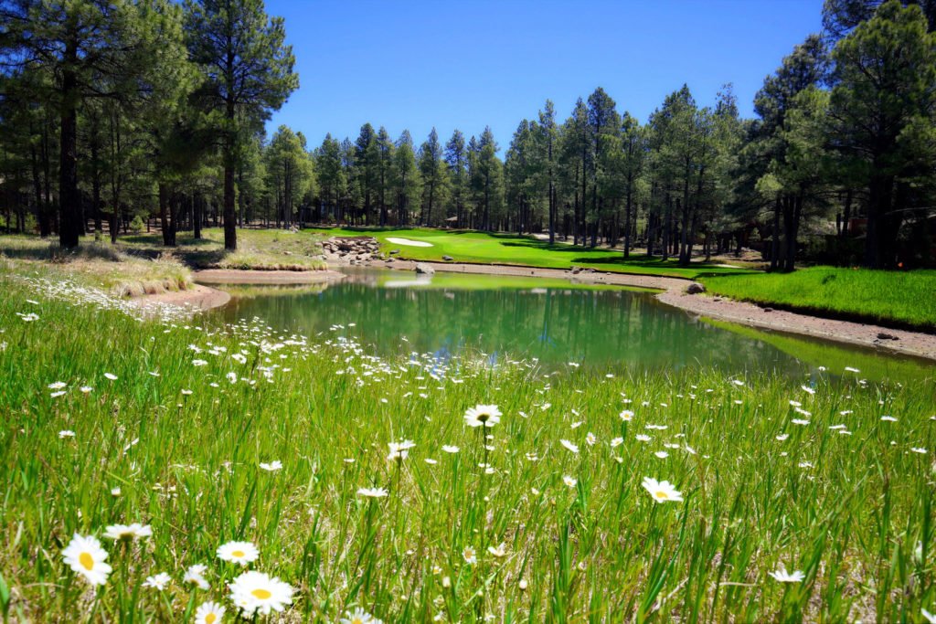 Forest Highlands 9th Hole
