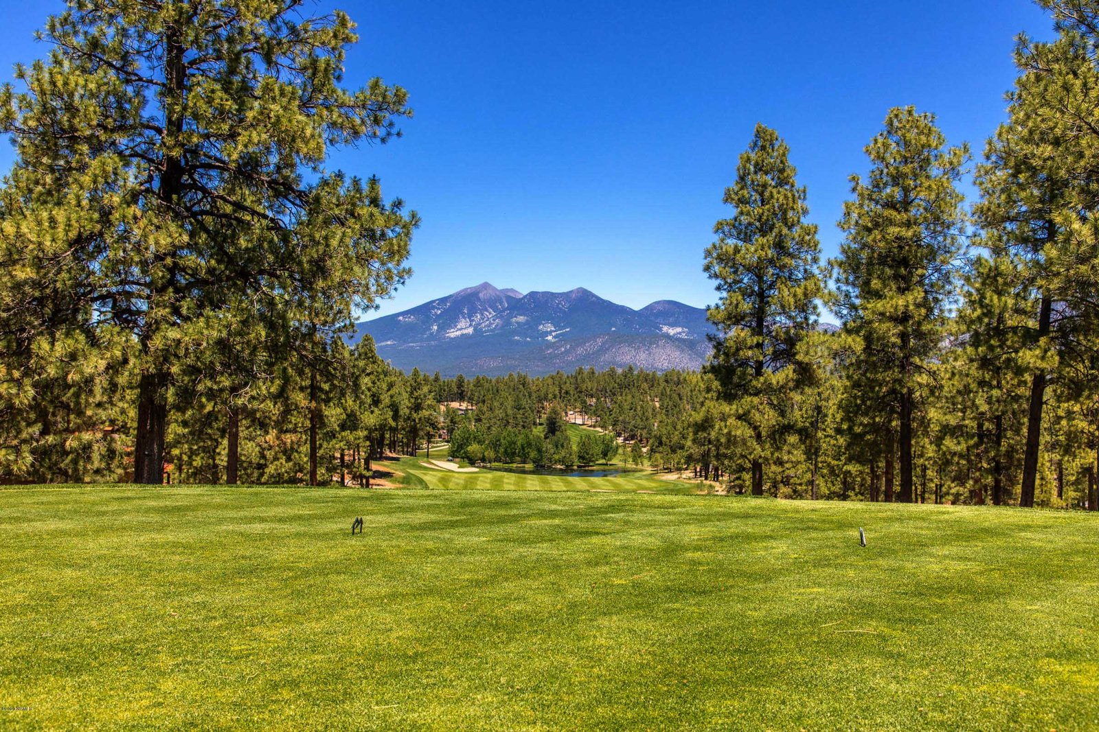 Pine Canyon Homes